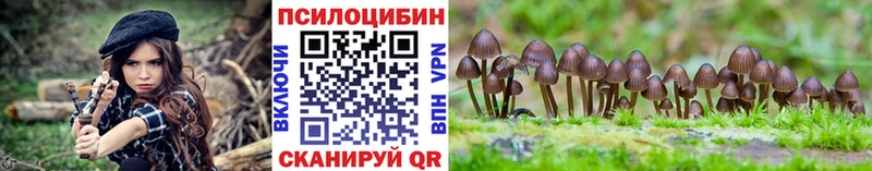 Купить  Белая Калитва  Псилоцибиновые грибы Magic Shrooms 